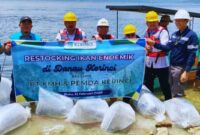 Harapan Baru Nelayan, Monadi dan PT KMH Lepas Ribuan Benih Ikan di Danau Kerinci