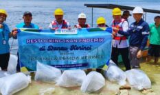 Harapan Baru Nelayan, Monadi dan PT KMH Lepas Ribuan Benih Ikan di Danau Kerinci