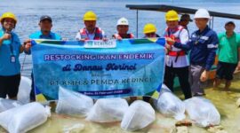 Harapan Baru Nelayan, Monadi dan PT KMH Lepas Ribuan Benih Ikan di Danau Kerinci