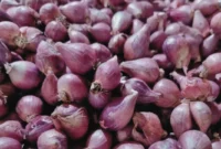 Bawang Merah (Foto: Esti Widiyana/detik)
