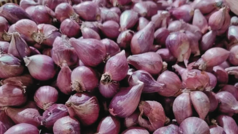 Bawang Merah (Foto: Esti Widiyana/detik)