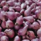 Bawang Merah (Foto: Esti Widiyana/detik)