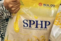 Rupiah Melemah Rp 17.900, Bapanas Jamin Harga Beras SPHP Tidak Naik (Foto: Foto: Agung Pambudhy/detik)