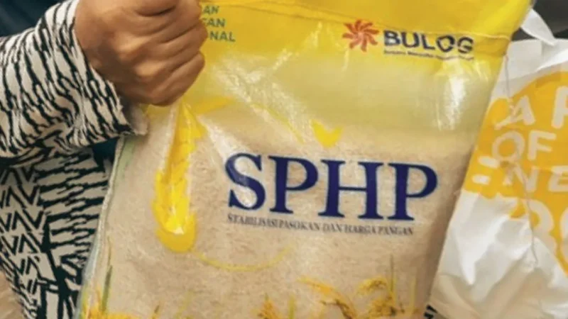Rupiah Melemah Rp 17.900, Bapanas Jamin Harga Beras SPHP Tidak Naik (Foto: Foto: Agung Pambudhy/detik)