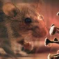Ilustrasi. Waspada Hantavirus, Gejala Mirip Flu yang Mengancam Nyawa dan Cara Mencegahnya  (Dok. Envato/bloombergtechnoz)