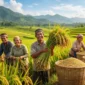 Beras Bukan Lagi Pemicu Utama Inflasi, Kesejahteraan Petani Padi April 2026 Meningkat Tajam