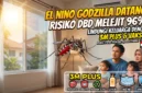 Waspada Risiko DBD Saat El Nino Godzilla Melanda Indonesia (Foto: Ai)