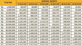 Tabel Angsuran KUR BRI Juli 2026 Terbaru Plafon Rp1-100 Juta(Foto: bri/kompas)