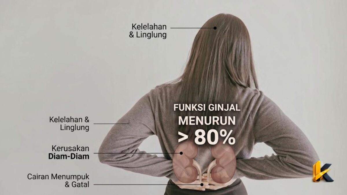 Fungsi Ginjal BISA Anjlok 80 Persen Tanpa Gejala, Waspadai Tanda Bahaya Ini! (Foto: Getty Images/Sewcream/detikHealth/Ai)