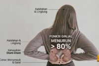 Fungsi Ginjal BISA Anjlok 80 Persen Tanpa Gejala, Waspadai Tanda Bahaya Ini! (Foto: Getty Images/Sewcream/detikHealth/Ai)