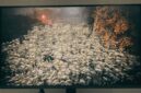 Review LG UltraGear G4: Monitor Gaming IPS 144Hz Murah Terbaik  (Foto: medcom)
