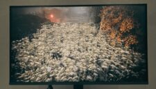 Review LG UltraGear G4: Monitor Gaming IPS 144Hz Murah Terbaik  (Foto: medcom)