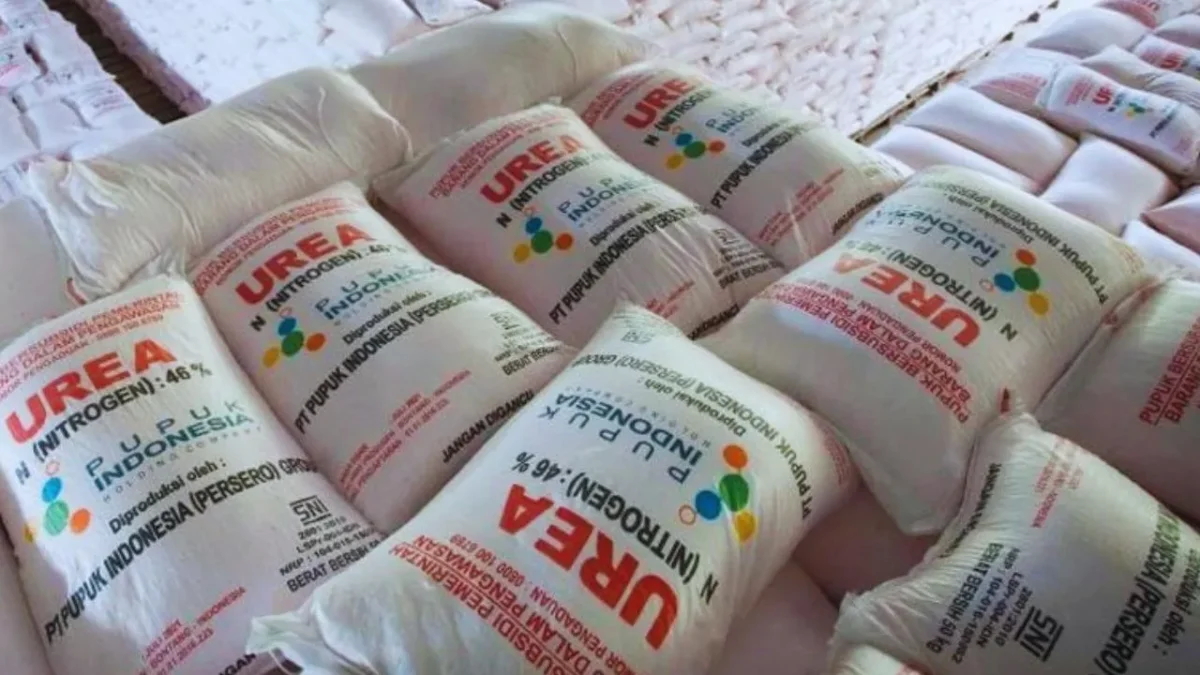 Daftar Harga Pupuk Terbaru Juli 2026, Cek Rinciannya (Foto: cnbcindonesia)