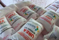 Daftar Harga Pupuk Terbaru Juli 2026, Cek Rinciannya (Foto: cnbcindonesia)