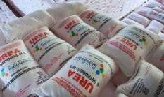 Daftar Harga Pupuk Terbaru Juli 2026, Cek Rinciannya