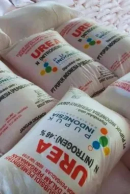 Daftar Harga Pupuk Terbaru Juli 2026, Cek Rinciannya