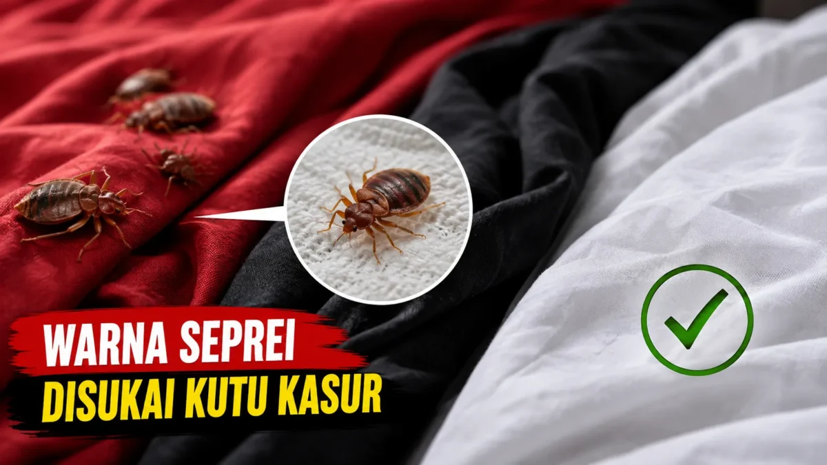 Warna Seprai Ternyata Bisa Memengaruhi Pilihan Kutu Kasur