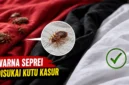 Warna Seprai Ternyata Bisa Memengaruhi Pilihan Kutu Kasur