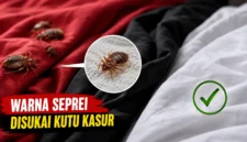 Warna Seprai Ternyata Bisa Memengaruhi Pilihan Kutu Kasur
