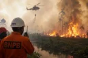 2.610 Hotspot Karhutla Terdeteksi di Kalbar, Jarak Pandang di Bawah 1 Km (Ilustrasi: Ai)