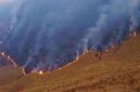 Kebakaran Gunung Bromo Meluas, 120 Hektare Terbakar (Foto: Dok. BPBD Jatim/kompas)
