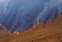 Kebakaran Gunung Bromo Meluas, 120 Hektare Terbakar (Foto: Dok. BPBD Jatim/kompas)
