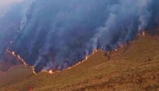 Kebakaran Gunung Bromo Meluas, 120 Hektare Terbakar (Foto: Dok. BPBD Jatim/kompas)
