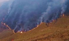 Kebakaran Gunung Bromo Meluas, 120 Hektare Terbakar
