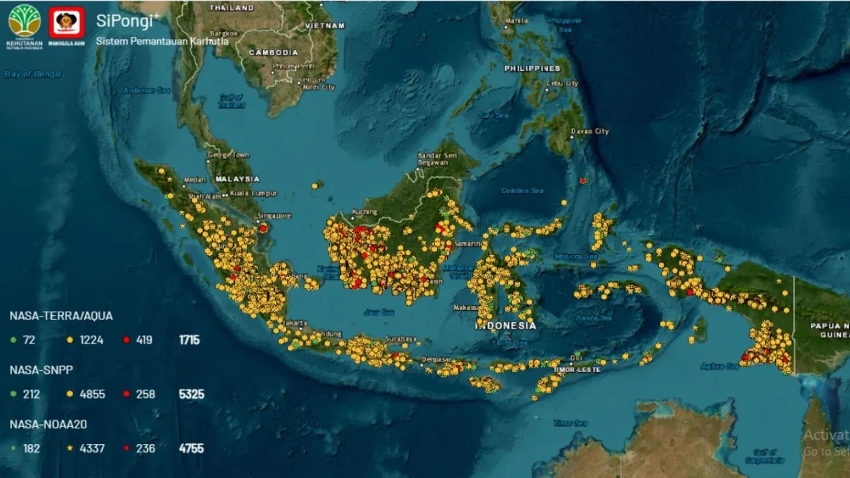 Cara Cek Titik Karhutla di Indonesia lewat SiPongi+ dan BMKG (Foto: sipongi.gakkum.kehutanan.go.id)