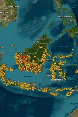 Cara Cek Titik Karhutla di Indonesia lewat SiPongi+ dan BMKG