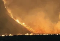 Gunung Bromo Ditutup Total, Kebakaran Meluas di TNBTS (Foto: Dokumentasi Balai Besar TNBTS/RRI)
