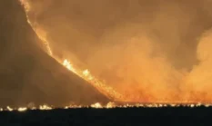 Gunung Bromo Ditutup Total, Kebakaran Meluas di TNBTS
