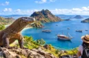 Pariwisata Labuan Bajo Pulih, Taman Nasional Komodo Dibuka