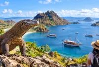 Pariwisata Labuan Bajo Pulih, Taman Nasional Komodo Dibuka