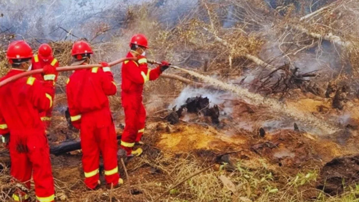 Ilustrasi. BRIN Uji Teknologi Pemadaman Karhutla di Samboja (Foto: Medcom/Lino)