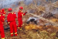 Ilustrasi. BRIN Uji Teknologi Pemadaman Karhutla di Samboja (Foto: Medcom/Lino)