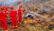 Ilustrasi. BRIN Uji Teknologi Pemadaman Karhutla di Samboja (Foto: Medcom/Lino)