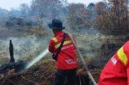 Kalsel Nihil Hotspot, Karhutla Kini Dipantau Ketat di Kalbar (Foto: Kemenhut/medcom)