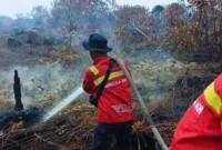 Kalsel Nihil Hotspot, Karhutla Kini Dipantau Ketat di Kalbar (Foto: Kemenhut/medcom)