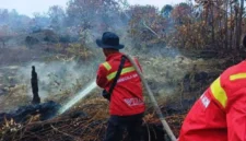 Kalsel Nihil Hotspot, Karhutla Kini Dipantau Ketat di Kalbar (Foto: Kemenhut/medcom)