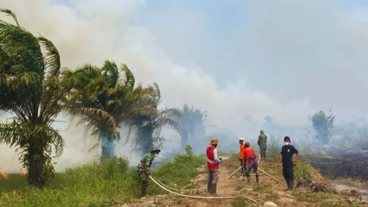 Kebakaran Lahan Sungai Aur Muaro Jambi Capai 30 Hektare