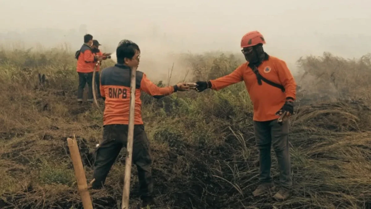Gambut Jadi Tantangan, Ini Wilayah Karhutla Tersulit di Kalbar (Foto: Medcom/kautsar Halim)