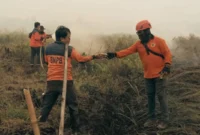 Gambut Jadi Tantangan, Ini Wilayah Karhutla Tersulit di Kalbar (Foto: Medcom/kautsar Halim)
