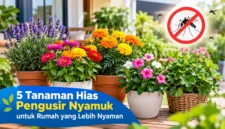 5 Tanaman Hias Berwarna Cerah untuk Rumah yang Minim Nyamuk