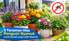 5 Tanaman Hias Berwarna Cerah untuk Rumah yang Minim Nyamuk
