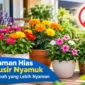 5 Tanaman Hias Berwarna Cerah untuk Rumah yang Minim Nyamuk