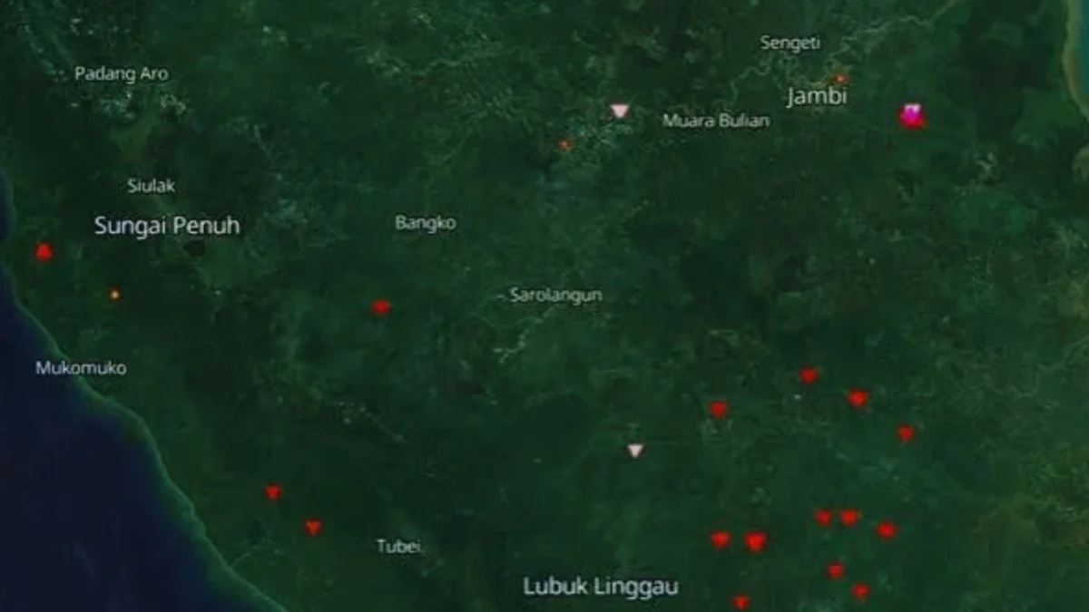 Hujan Mulai Turun, 59 Hotspot Masih Terdeteksi di Jambi
