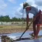 Kemarau Panjang Picu 5 Hektare Lahan Jagung di Kota Jambi Gagal Panen