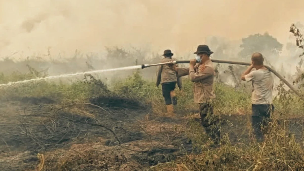 10 Hektare Lahan Karhutla di Kumpeh Ulu Berhasil Dipadamkan