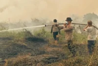 10 Hektare Lahan Karhutla di Kumpeh Ulu Berhasil Dipadamkan
